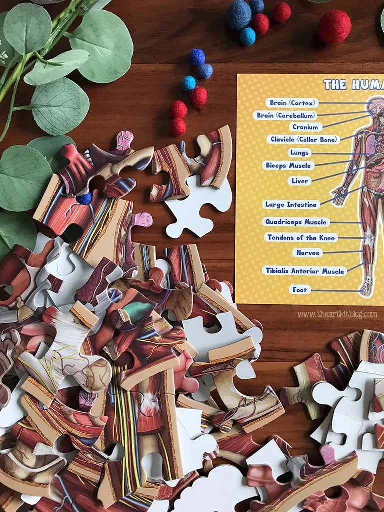 Golvpussel för barn med 100 bitar av människokroppen