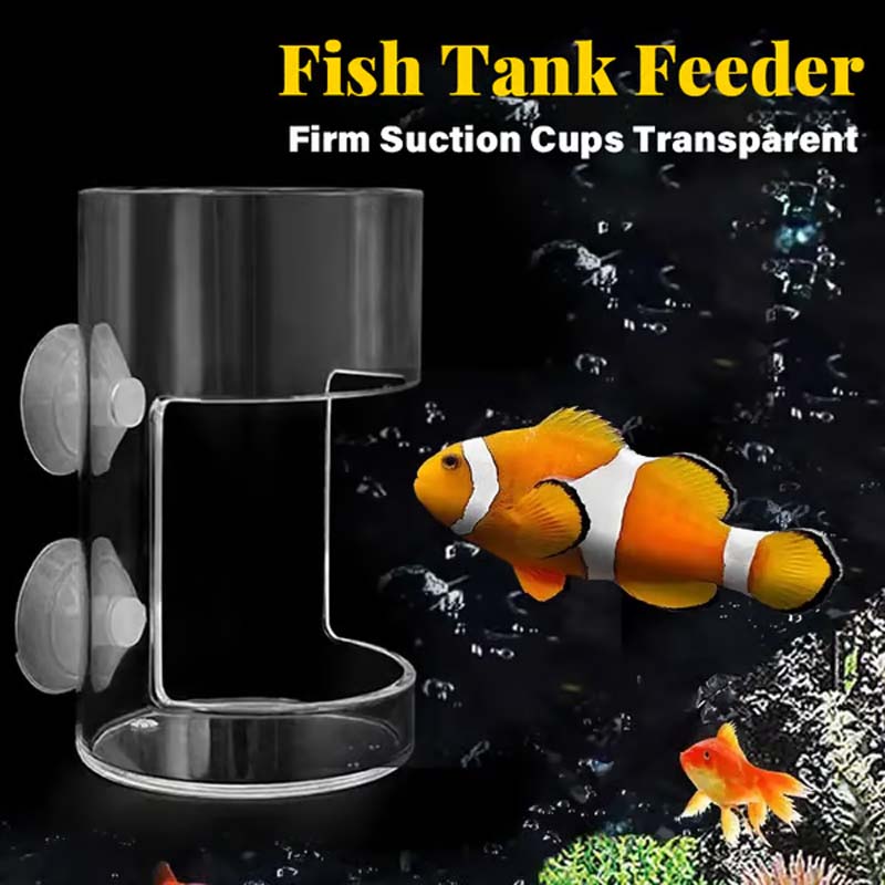 đ„No Mess Aquarium Feederđ„/đ„No Mess Aquarium Feederđ„