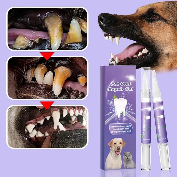 đ„KĂP 1 FĂ
1 GRATISđ„Pet Oral Repair Gelđ±đ¶