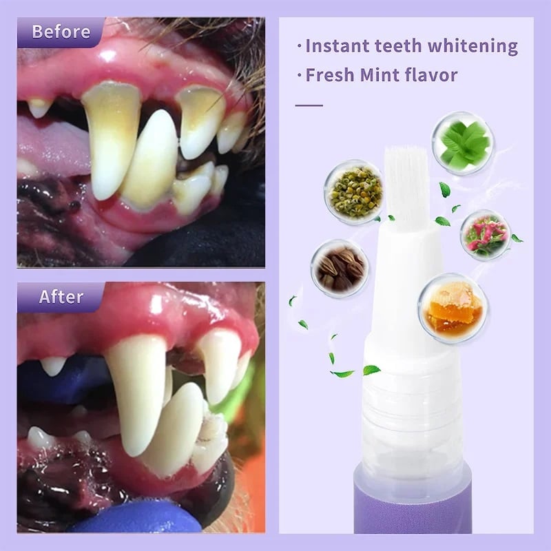 đ„KĂP 1 FĂ
1 GRATISđ„Pet Oral Repair Gelđ±đ¶