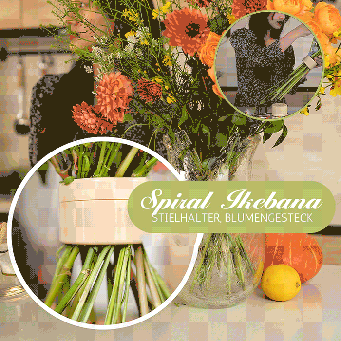 Spiral Ikebana stamhållare(5 pcs)