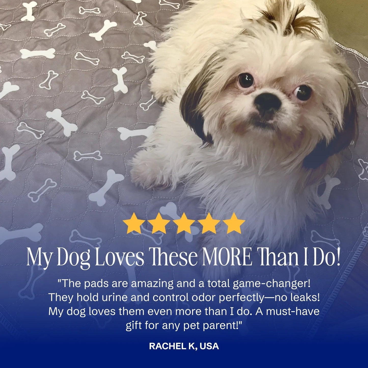 Tryckt Blöjdyna För Husdjur