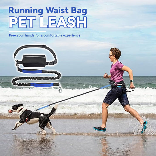 Midjeväska för löpning Koppel för husdjur