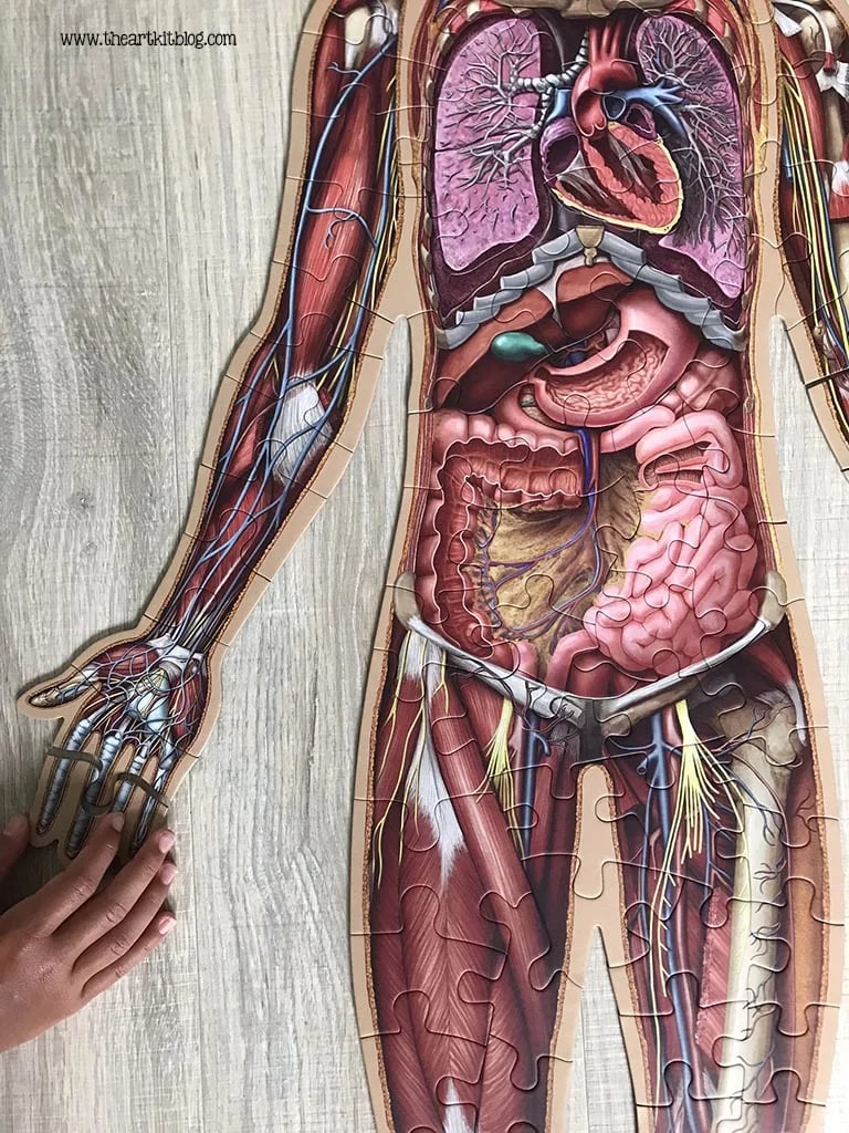 Golvpussel för barn med 100 bitar av människokroppen