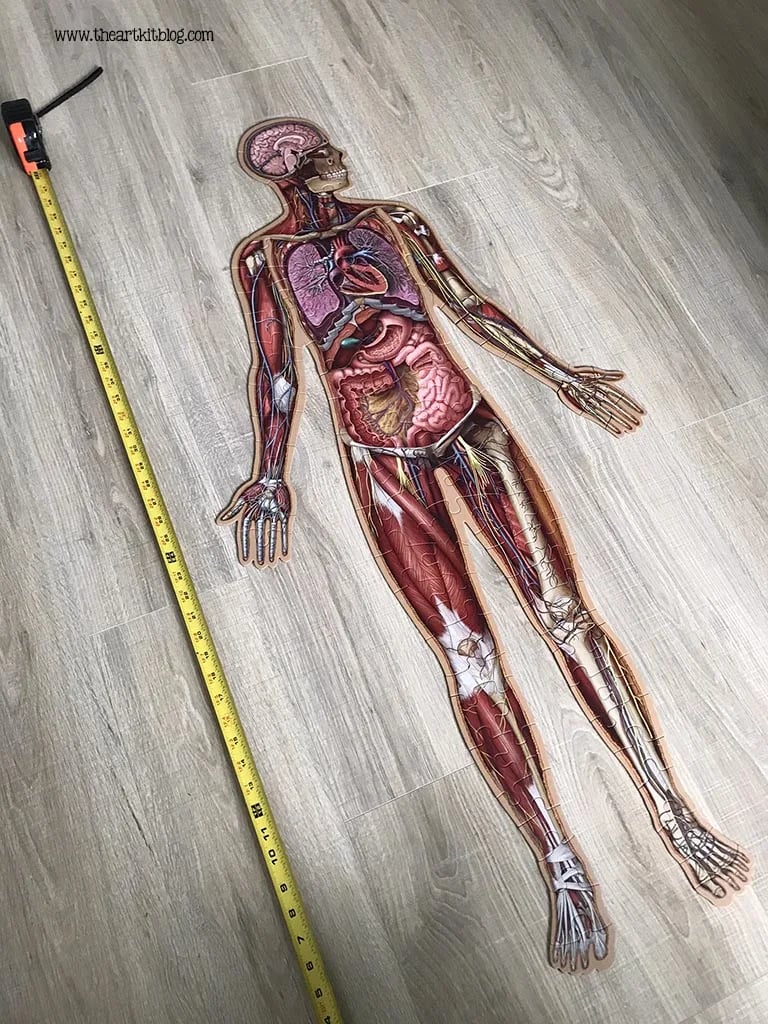 Golvpussel för barn med 100 bitar av människokroppen