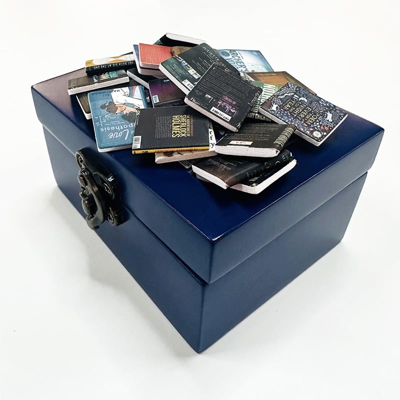 🎁Sista dagen 49% RABATT 📖Shake Bookshelf | Skaka av dig din ångest