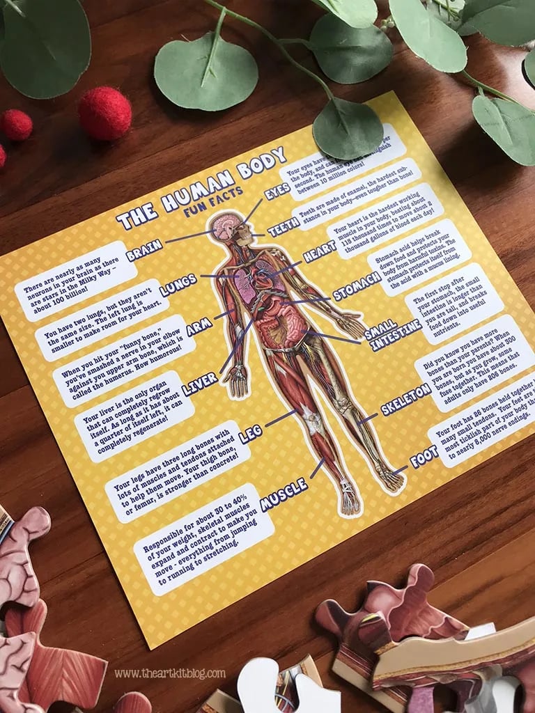 Golvpussel för barn med 100 bitar av människokroppen