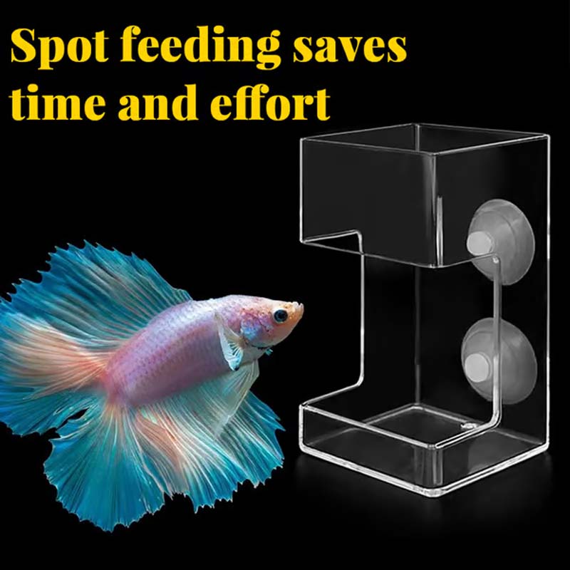 🔥No Mess Aquarium Feeder💥/🔥No Mess Aquarium Feeder💥