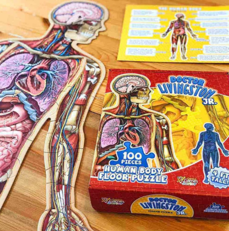 Golvpussel för barn med 100 bitar av människokroppen