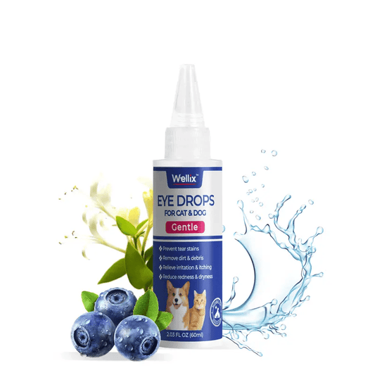 PET Hundögondroppar, Ögondroppar för hundar och katter🐶😸
