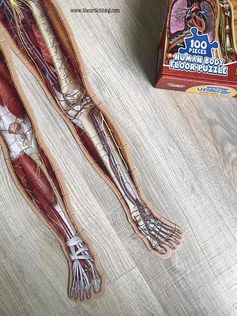 Golvpussel för barn med 100 bitar av människokroppen